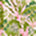 Green Tropics Swatch