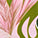 Bird of Paradise Swatch