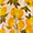lemon swatch