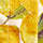 lemon swatch