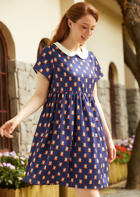 Whimsy & Wonder Collar Empire Dress