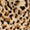 Wild Spots Swatch