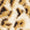 Wild Spot Swatch