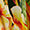 Tropical Swatch