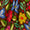 Frida’s Garden Swatch