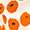 Papaver Swatch