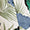 Palm Royal Swatch