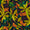 Palm Before the Pounce Swatch