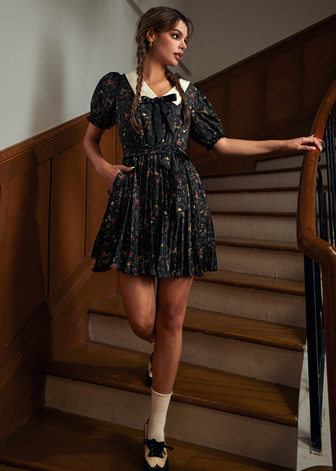 The Enchanted Study Fit & Flare Dress