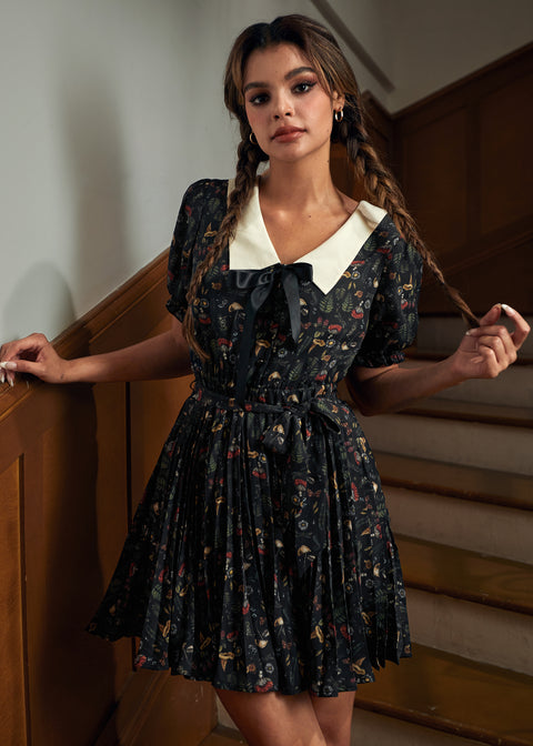 The Enchanted Study Fit & Flare Dress