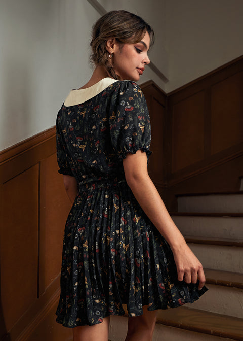 The Enchanted Study Fit & Flare Dress