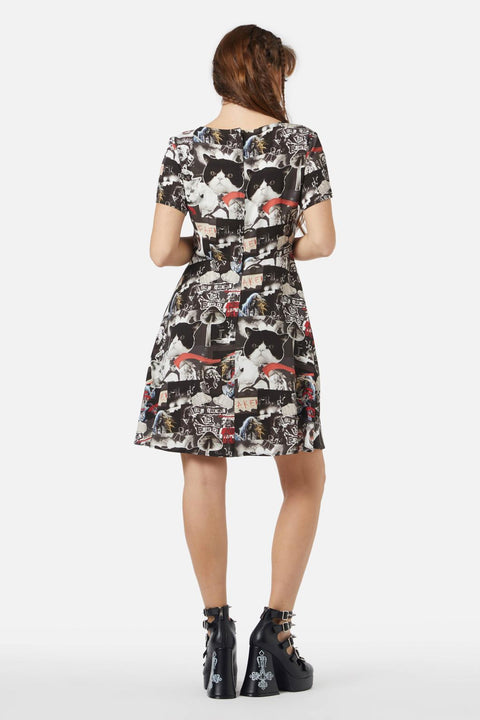 Anakitty Dress
