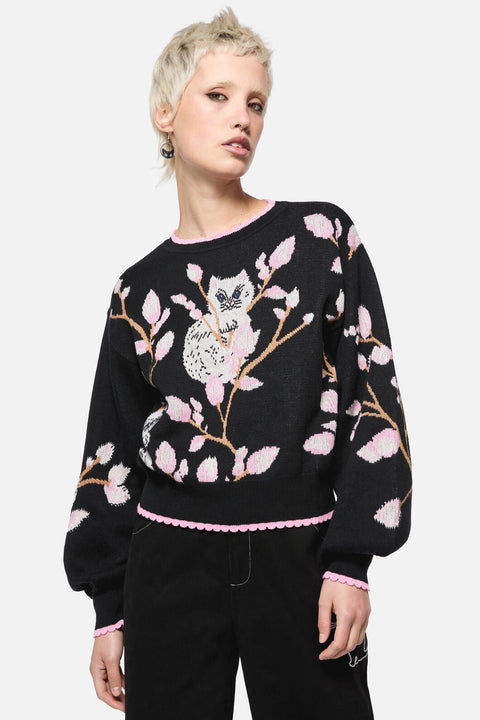 Pussy Willow Border Knit