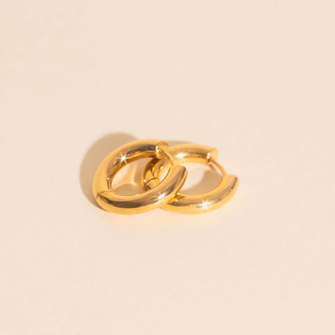 Titanium Chunky Rounded Huggie Hoop Earrings