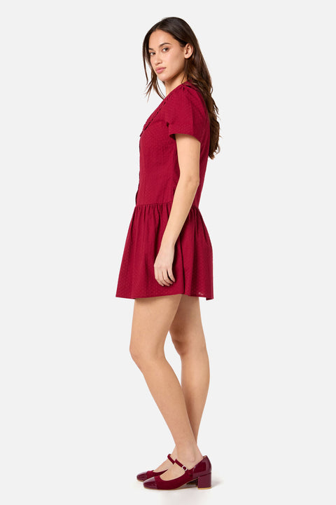 Andrea Drop Waist Mini Dress