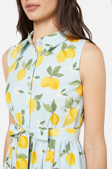 Lemon Shirt Dress