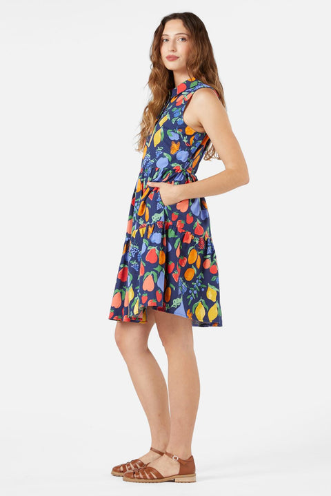 Fruit Bowl Shirt Dress