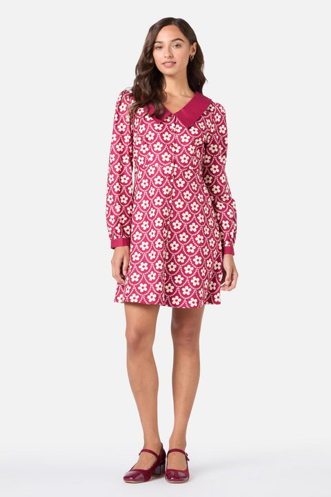 Megan Cute Collar Mini Dress