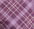 Purple Swatch