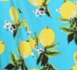 Aqua Lemon Swatch