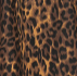 Leopard Swatch
