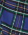 Blue Plaid Swatch