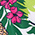 Pineapple Print swatch