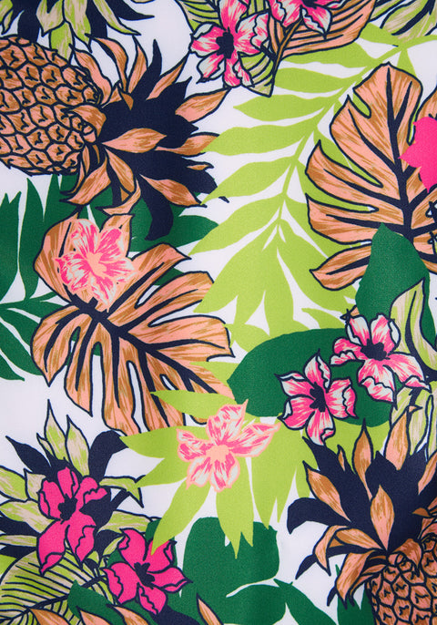 Pineapple Print