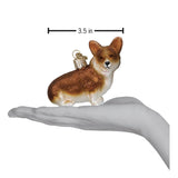 Pembroke Welsh Corgi