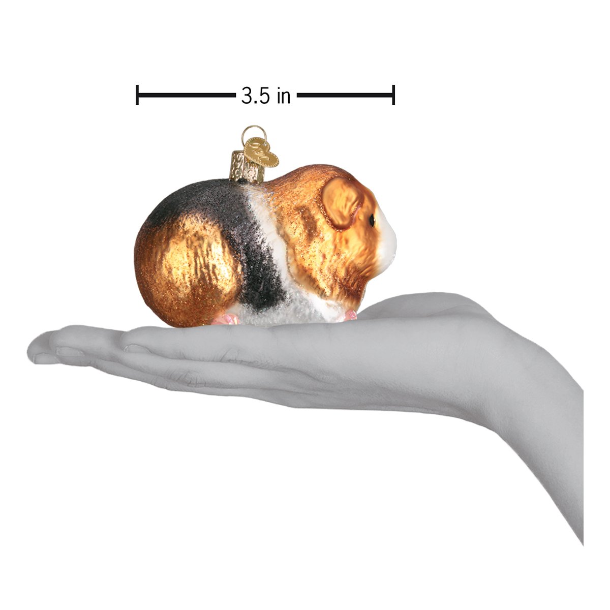 Slide image