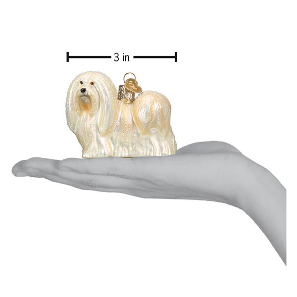Slide image