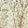Alabaster Art Swatch