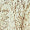 Alabaster Art Swatch