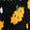 Black Swatch