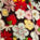 A0067 Swatch