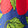 Apple Swatch
