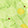 Dandy Floral Mint Gum swatch