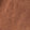 Sahara Sands Swatch