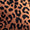 Wild Streak Swatch