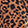 Wild Streak Swatch