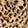 Wild Spots Swatch