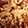 Liquid Gold Swatch