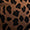 Wild Cat swatch