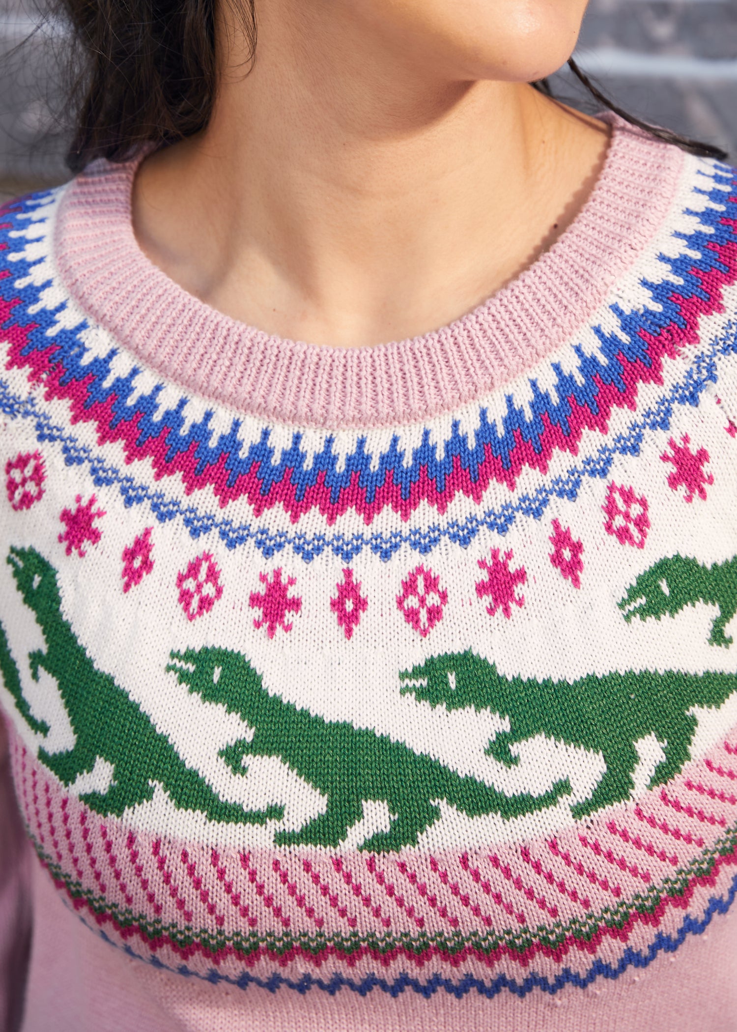 Retro Charm Raglan Sweater (Final Sale)