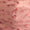 Pretty in Pink Swatch