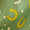 Green Horseshoe Swatch