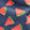 Sweet Slice Swatch