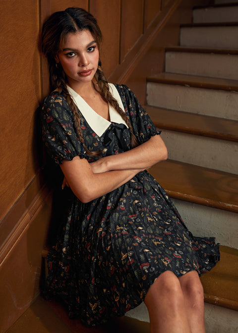 The Enchanted Study Fit & Flare Dress