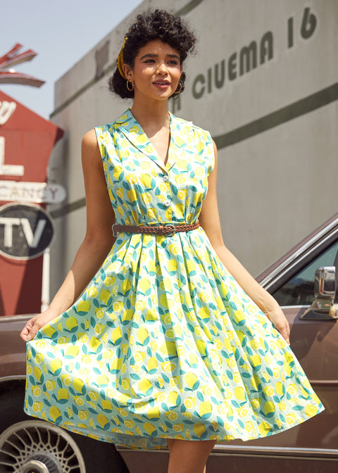 The Scenic Route Only Dress