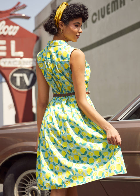 The Scenic Route Only Dress